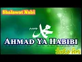 Download Lagu Ahmad Ya Habibi Haddad Alwi | Shalawat Nabi | Lirik Arab, Latin, Arti