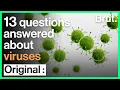 13 Simple Questions Answered about Viruses