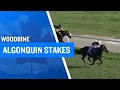 2025 175 000 Algonquin Stakes at Woodbine