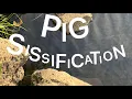 Pig Sissification Feedee Hypnosis