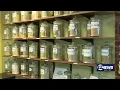 Kratom Deaths