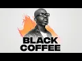 Download Lagu Afro House Mix 2025 | Black Coffee, Keinemusik, Vlasova, Karisna