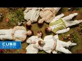Download Lagu 비투비 (BTOB) - '나의 바람 (Wind And Wish)' Official Music Video