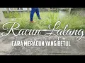 Lagu CARA MERACUN LALANG dan RUMPUT Dengan Betul | How To Properly Use Herbicide