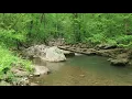 Relax Music-White Nights