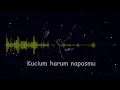 Lenggang Puspita - Afgan (Lyrics/Lirik Lagu)