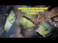 Download Lagu eps.389 MAMAW SA LAKI NG ISDANG ITO😱 PAMBANSANG IHAWIN🤩 #fishing #seafood #fish #kapanatv #viral