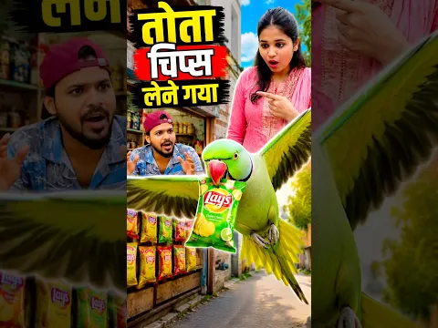 ❤️ तोता चिप्स लेने गया 😍 #parrot #trending  #viral #video #dosti #shortvideo 🥰