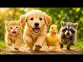 Golden Puppy s Rescue Mission Helping Cute Animal Friends Blue Bear Kids