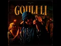 Gouli Li - Duke
