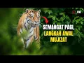 Download Lagu Semangat Pagi, Langkah Awal Mujizat 👍🎉🙏✅