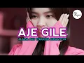 Download Lagu LAGU PESTA RAME || AJE GILE || REMIX TERBARU 2023
