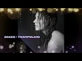 Download Lagu SHAED - TRAMPOLINE (DJ VERSATILE UK GARAGE REMIX) FREE DOWNLOAD