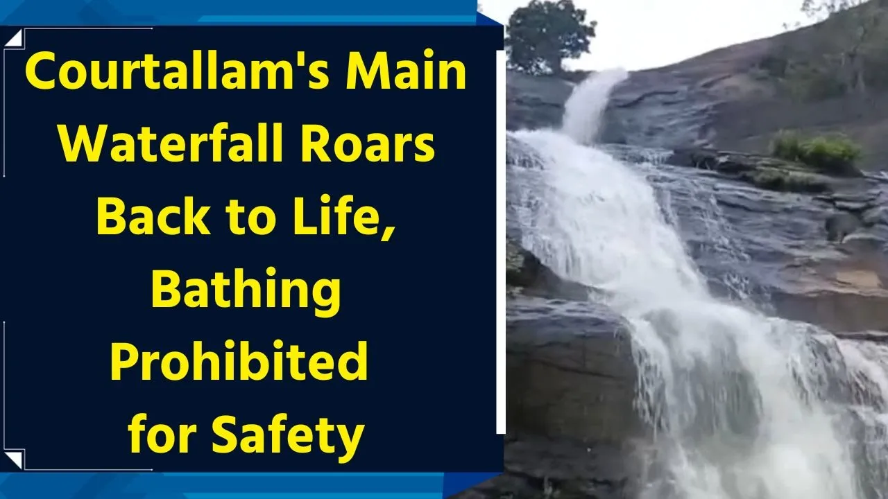 Courtallam's Main Waterfall Roars Back to Life, Bathing Prohibited for Safety