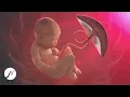 Download Lagu Stay Young Forever - Regenerate Your Telomeres (Cell Regeneration Music)