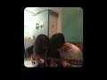 The Moldy Peaches - Anyone Else But You (Tradução PT-BR)