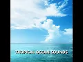 Tantalizing Tropical Beach Sounds
