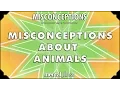 Misconceptions about Animals - mental