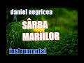 Download Lagu █▬█ █ ▀█▀ 2023 - Sarba Mariilor Pentru  8 septembrie- Daniel Negricea [Domn' Profesor Danciu]