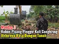 Download Lagu Mantap‼️Kebon Pisang Pinggir Kali Akhirnya Rata Dengan Tanah