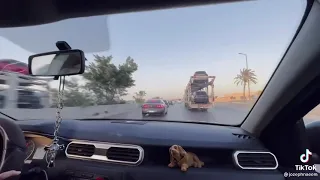 احلا غرز في مصر ولاكن النهايه سيء     دندنها