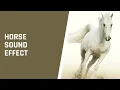 Download Lagu Horse sound effect - Neighing Horse and Galloping Horse