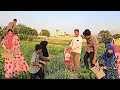 Download Lagu Vertrouwen of verraad? Een moeilijk moment voor Narges en haar familie.