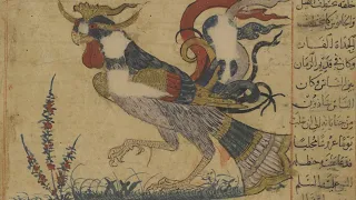 الحشرات وعجائبها عجائب المخلوقات وغرائب الموجودات للقزويني كتاب مسموع ج 11 والأخير 