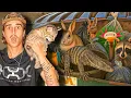 I Found 23 Live Animals In Pet Store Dumpsters