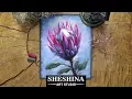 Download Lagu How to draw a Protea flower with soft pastels 🎨 Flowers