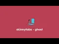 skinnyfabs - ghost (lofi remix)