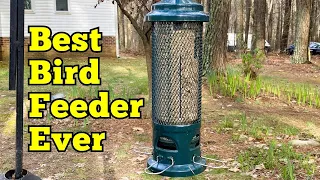 SQUIRREL BUSTER LEGACY SQUIRREL-PROOF BIRD FEEDER Why This Birdfeeder Will Last a Lifetime