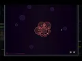 BubbleMaps - How they work how to avoid them