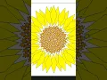 Draw Sunflower Using Python Turtle