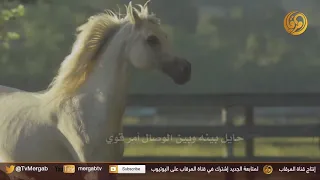 شيلة لا نخاني صاحبي كلمات فيحان عفاس المحيا أداء ناصر السيحاني 