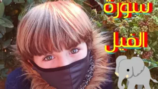 سورة الفيل 