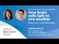 Download Lagu Broad Discovery Series x BroadIgnite: Ralda Nehme \u0026 Shiwei Wang, How brain cells talk to one another