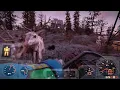 Fallout 76 - Kill a Radstag Easy Location to find Radstag s