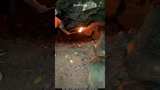 كهف الموت أسرار طبيعة كوستاريكا القاتلة كهف الموت كوستاريكا مغامرات خطر الطبيعة استكشاف سلامة  كهف الموت أسرار طبيعة كوستاريكا القاتلة كهف الموت كوستاريكا مغامرات خطر الطبيعة استكشاف سلامة