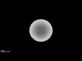 Colofull Phyllotaxis
