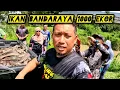 Lagu Menjala Ikan Bandaraya 1000 Ekor #gengdunia 
