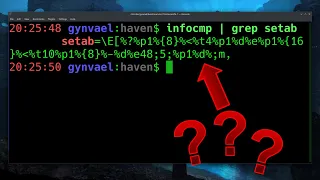 Looking Into Terminfo Vm Part 2  Looking Into Terminfo Vm Part 2