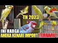 Lagu HARGA KHUSUS BURUNG KENARI IMPORT TERBARU TAHUN 2023 !
