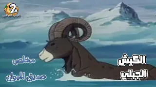 كرتون مخلص صديق الحيوان الحلقة 12 الكبش الجبلي بدون موسيقى HD 