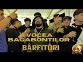 VOCEA BAGABONȚILOR - BÂRFITORI × OFICIAL VIDEO