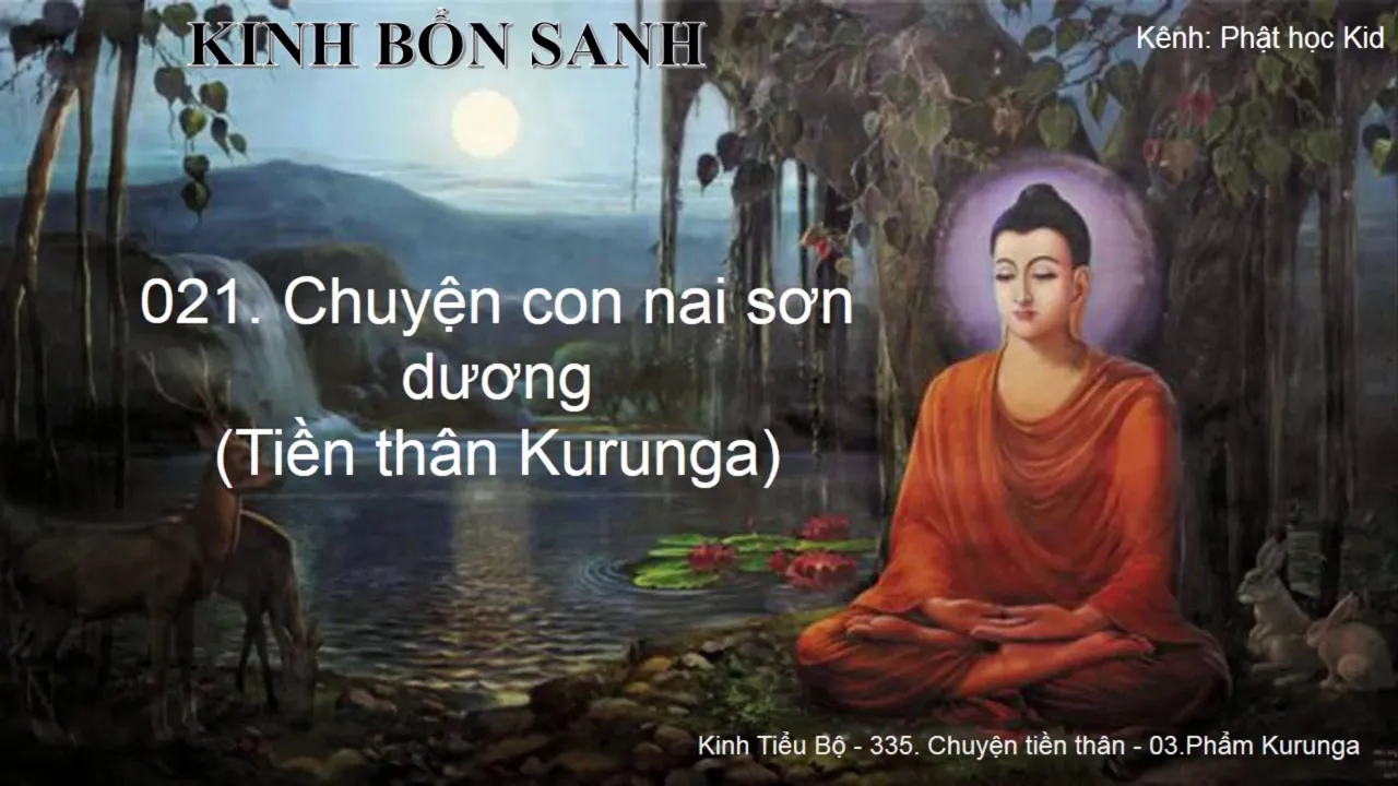 K.Bổn Sanh Tập 1 021 Truyện con nai sơn dương 