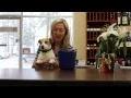 Westgate Wine Referral Reward Winner