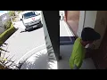 Auspost throwing a parcel at Susan s House