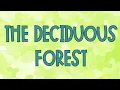 The Deciduous Forest Biome Explained Climate Animals Adaptations