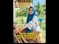 Download Lagu CUMA JANDA DESA MAS!!,CARI JODOH SEDERHANA